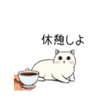 シュール猫の日常会話（個別スタンプ：23）