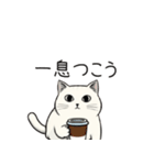 シュール猫の日常会話（個別スタンプ：24）