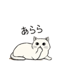 シュール猫の日常会話（個別スタンプ：29）