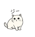 シュール猫の日常会話（個別スタンプ：31）