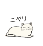 シュール猫の日常会話（個別スタンプ：32）