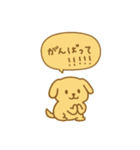 毎日使えるカラフルわんこ（個別スタンプ：25）