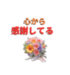 家族・恋人・大切な人へ毎日の優しい言葉（個別スタンプ：31）