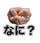手は口ほどにものを言う！超ハンドサイン（個別スタンプ：19）