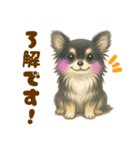 毎日使えるデカ文字♡チワワ（個別スタンプ：4）