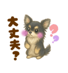 毎日使えるデカ文字♡チワワ（個別スタンプ：5）