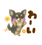 毎日使えるデカ文字♡チワワ（個別スタンプ：7）
