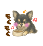 毎日使えるデカ文字♡チワワ（個別スタンプ：8）