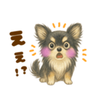 毎日使えるデカ文字♡チワワ（個別スタンプ：10）