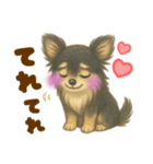 毎日使えるデカ文字♡チワワ（個別スタンプ：12）