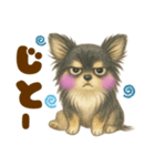毎日使えるデカ文字♡チワワ（個別スタンプ：14）