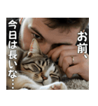 <超使える>猫吸いされる猫の気持ち（個別スタンプ：4）