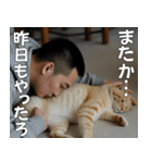 <超使える>猫吸いされる猫の気持ち（個別スタンプ：6）