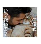 <超使える>猫吸いされる猫の気持ち（個別スタンプ：7）