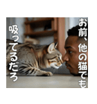 <超使える>猫吸いされる猫の気持ち（個別スタンプ：13）
