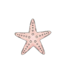 春夏に使えるスタンプ、SS（個別スタンプ：27）