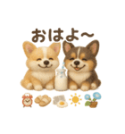 ふわふわコーギーの夏スタンプ（個別スタンプ：1）