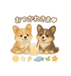 ふわふわコーギーの夏スタンプ（個別スタンプ：12）