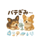 ふわふわコーギーの夏スタンプ（個別スタンプ：15）