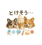 ふわふわコーギーの夏スタンプ（個別スタンプ：17）