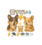 ふわふわコーギーの夏スタンプ（個別スタンプ：21）