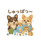 ふわふわコーギーの夏スタンプ（個別スタンプ：25）