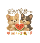ふわふわコーギーの夏スタンプ（個別スタンプ：31）