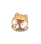 ポメラニアン（日常使い）（個別スタンプ：4）