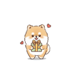 ポメラニアン（日常使い）（個別スタンプ：15）