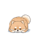 ポメラニアン（日常使い）（個別スタンプ：20）