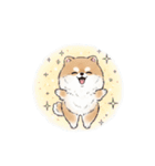 ポメラニアン（日常使い）（個別スタンプ：21）