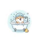 ポメラニアン（日常使い）（個別スタンプ：24）