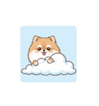 ポメラニアン（日常使い）（個別スタンプ：27）