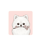 ポメラニアン（日常使い）（個別スタンプ：33）