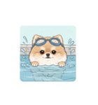 ポメラニアン（日常使い）（個別スタンプ：36）