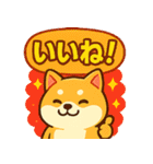 ふわふわ♡もちもち柴犬（個別スタンプ：36）