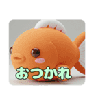 おさかなもふもふスタンプ（個別スタンプ：11）