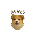 お茶碗犬 おちゃわんわん コリー（個別スタンプ：1）