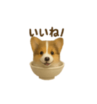 お茶碗犬 おちゃわんわん コリー（個別スタンプ：3）