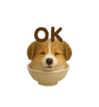 お茶碗犬 おちゃわんわん コリー（個別スタンプ：11）
