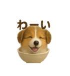 お茶碗犬 おちゃわんわん コリー（個別スタンプ：13）