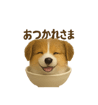 お茶碗犬 おちゃわんわん コリー（個別スタンプ：14）