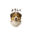 お茶碗犬 おちゃわんわん コリー（個別スタンプ：15）