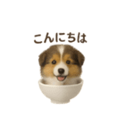 お茶碗犬 おちゃわんわん コリー（個別スタンプ：16）