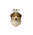 お茶碗犬 おちゃわんわん コリー（個別スタンプ：19）