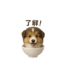 お茶碗犬 おちゃわんわん コリー（個別スタンプ：20）