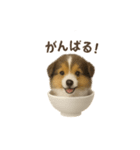 お茶碗犬 おちゃわんわん コリー（個別スタンプ：21）