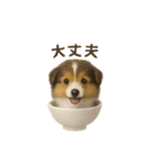 お茶碗犬 おちゃわんわん コリー（個別スタンプ：22）