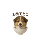 お茶碗犬 おちゃわんわん コリー（個別スタンプ：23）
