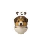 お茶碗犬 おちゃわんわん コリー（個別スタンプ：25）